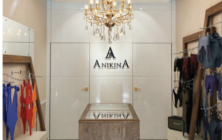 Франшиза Anikina — логотип