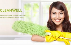 Франшиза Cleanwell — логотип