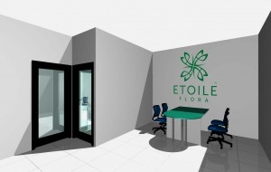Франшиза Etoile Flora — логотип