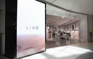 Франшиза Lime — логотип