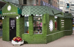 Франшиза Megaflowers — логотип