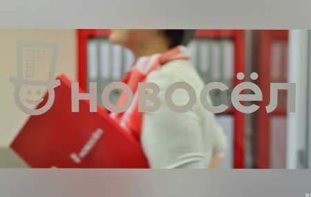 Франшиза Новосёл — логотип