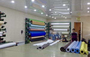 Франшиза Потолковый — логотип