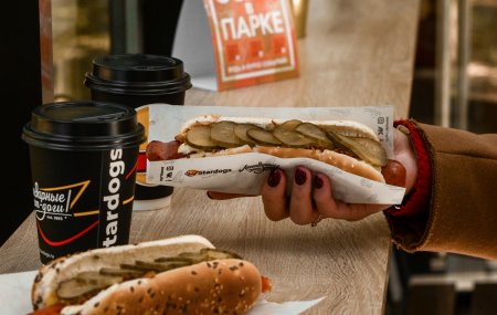 Франшиза Stardogs — логотип
