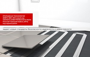 Франшиза Зебра — логотип