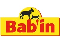 Франшиза Babin