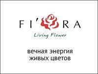Франшиза Fi’Ora