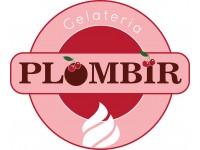 Франшиза Gelateria Plombir