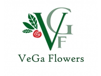 Франшиза Vega Flowers